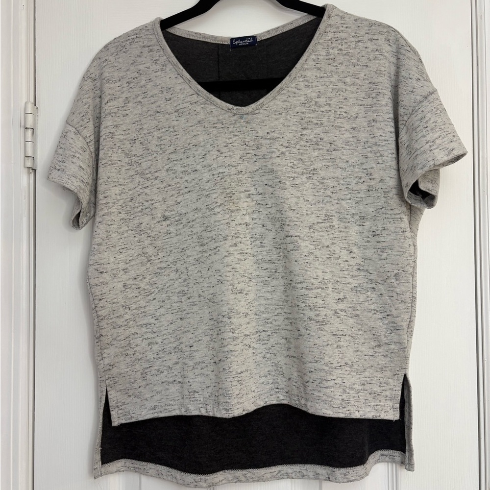 Splendid Medium Oversized Cropped‎ Boxy Tee